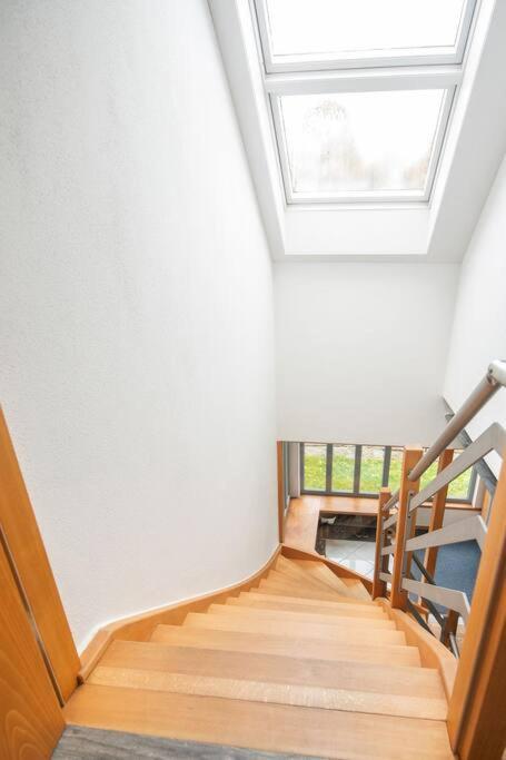 Odenwaldblick Daire Lutzelbach Dış mekan fotoğraf